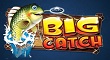 slot big catch