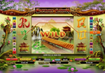 bonus wild