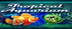 slot tropical aquarium
