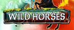 book of ra wild horses